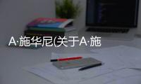 A·施華尼(關(guān)于A·施華尼簡述)