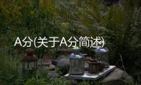 A分(關于A分簡述)