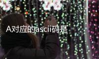 A對應的ascii碼是多少（a的ascii碼是多少）