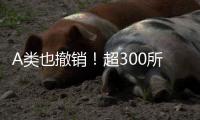 A類也撤銷！超300所高校裁撤學位點