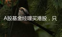 A股基金經理買港股，只敢買醫藥？