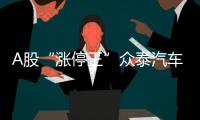 A股“漲停王”眾泰汽車浴火重生 募資60億元