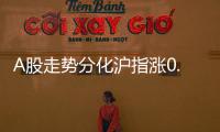 A股走勢分化滬指漲0.6% 兩市成交金額超1.7萬億