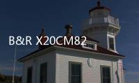 B&R X20CM8281