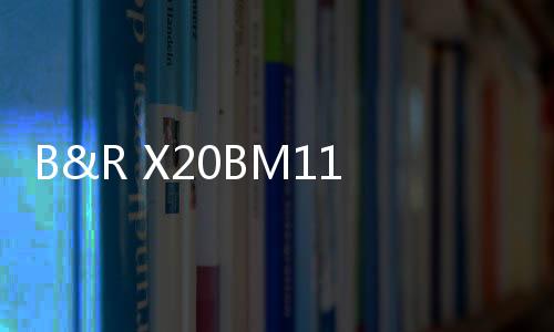 B&R X20BM11