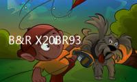 B&R X20BR9300