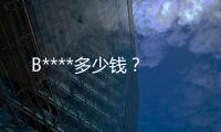 B****多少錢？