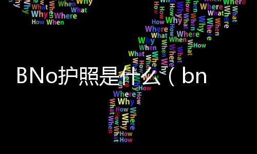 BNo護照是什么（bno護照是什么意思）