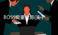 BOSS寵妻上癮(關(guān)于BOSS寵妻上癮簡(jiǎn)述)