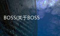 BOSS(關(guān)于BOSS簡述)