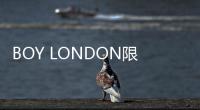 BOY LONDON限量聯(lián)名合作系列