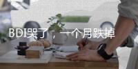 BDI哭了，一個月跌掉900點！跌破1000了！Cape船拖了大后腿