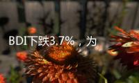 BDI下跌3.7%，為五周來最大單日跌幅