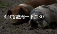 BDI指數周一下跌30點至1325點