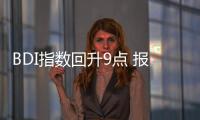 BDI指數回升9點 報734點 海岬型反彈明顯