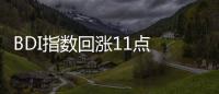 BDI指數回漲11點 報1031點 因海岬型船需求回升