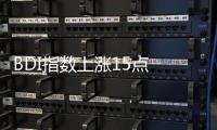BDI指數上漲15點 報1194點