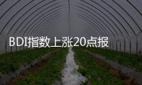 BDI指數上漲20點報889點大型船運價持續上漲