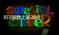 BDI指數上漲20點 報1329點