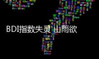 BDI指數(shù)失靈 山雨欲來還是風(fēng)向標(biāo)誤報(bào)