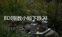 BDI指數(shù)小幅下跌23點(diǎn) 報(bào)575點(diǎn) 海岬型船運(yùn)價(jià)大幅下跌