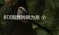BDI指數(shù)轉(zhuǎn)跌為漲 小漲8點 報1720點