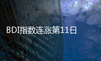 BDI指數連漲第11日 報1626點