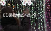 BDI指數跌54點 報1555點