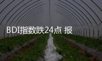 BDI指數跌24點 報1554點