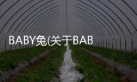 BABY兔(關于BABY兔簡述)