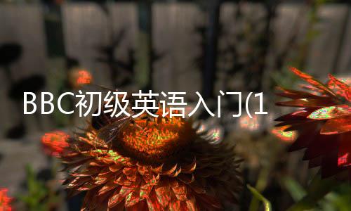 BBC初級英語入門(1