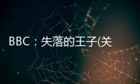 BBC：失落的王子(關于BBC：失落的王子簡述)