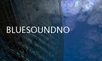BLUESOUNDNODE(關(guān)于BLUESOUNDNODE簡述)