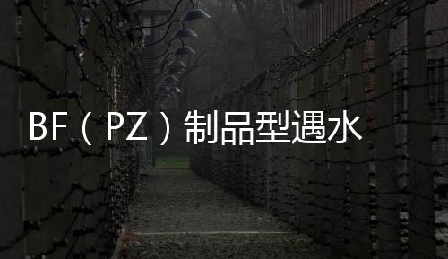BF（PZ）制品型遇水膨脹止水條廠家