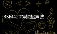 BSM420鑄鐵超聲波探傷儀(關于BSM420鑄鐵超聲波探傷儀簡述)