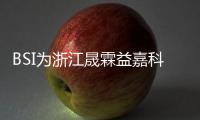 BSI為浙江晟霖益嘉科技有限公司頒發ISO三體系認證證書