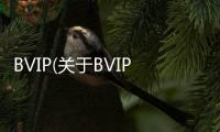 BVIP(關于BVIP簡述)