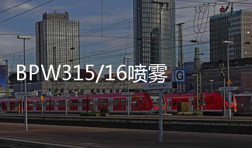 BPW315/16噴霧泵配件 柱塞密封圈 排液閥組件
