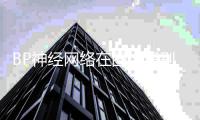 BP神經網絡在圖像識別中的應用