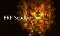 BRP Seadoo Wake：稱霸水上競速運動【體育運動】風尚中國網