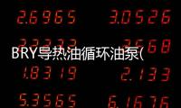 BRY導熱油循環油泵(關于BRY導熱油循環油泵簡述)