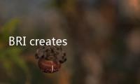 BRI creates new paradigm for international cooperation