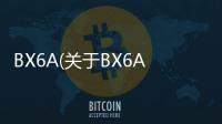 BX6A(關于BX6A簡述)