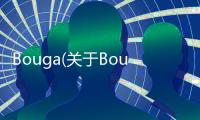 Bouga(關于Bouga簡述)