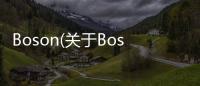 Boson(關于Boson簡述)