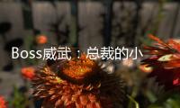Boss威武：總裁的小嬌妻(關(guān)于Boss威武：總裁的小嬌妻簡(jiǎn)述)