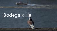 Bodega x Helinox 全新合作“Natural Habitat”系列釋出