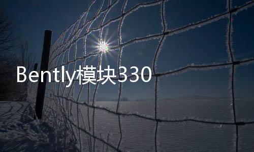 Bently模塊3300/65