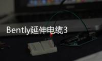 Bently延伸電纜330130