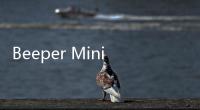 Beeper Mini恢復服務并修復錯誤和進行改進